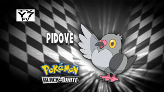 It's Pidove!