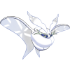 Mothnow