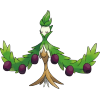 Oliva
