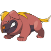 Orachifu