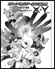 Pokemon Fan Issue 36